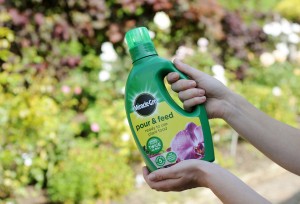 MIRACLE GRO POUR & FEED 1ltr